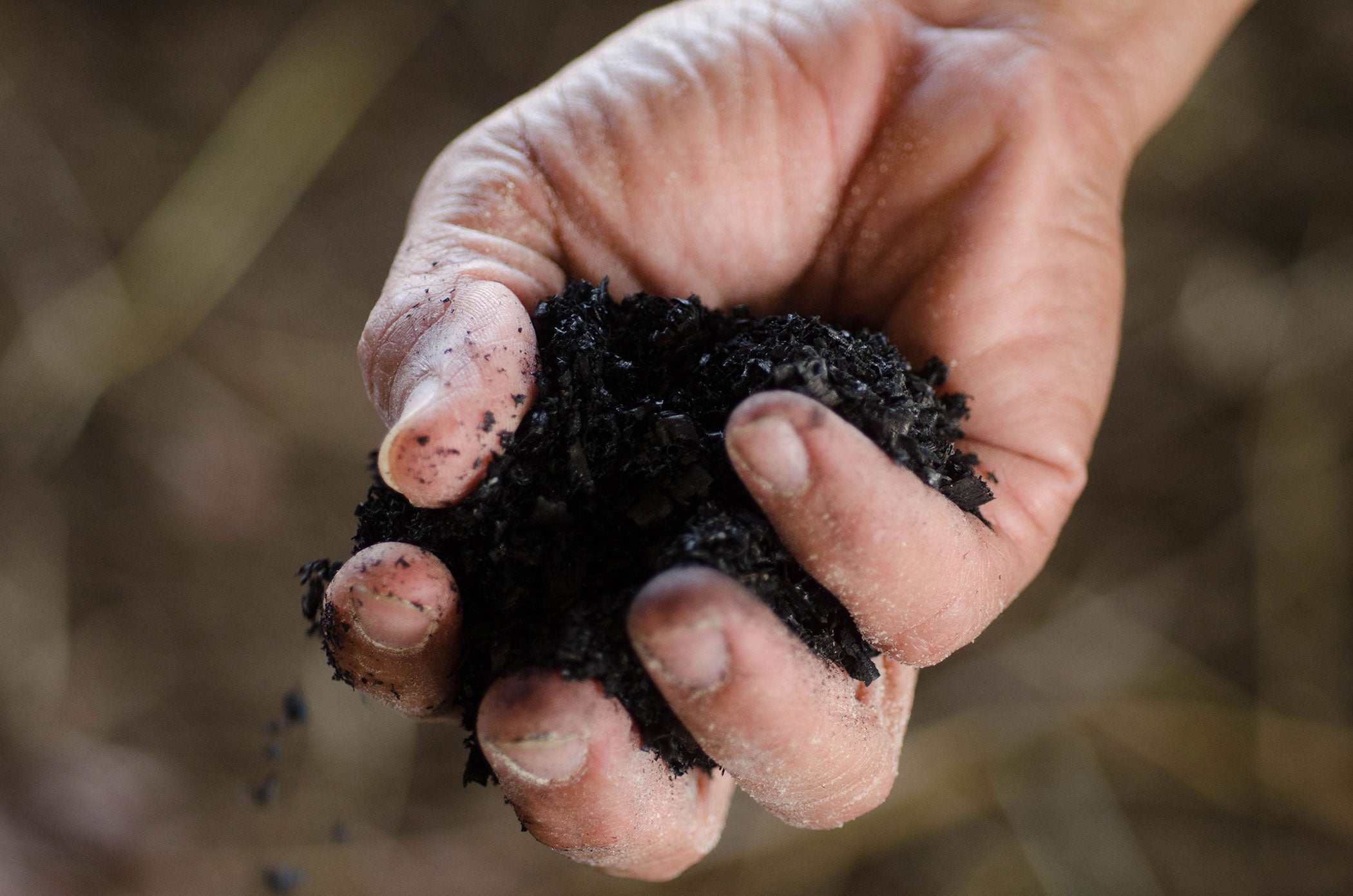 biocharcoal